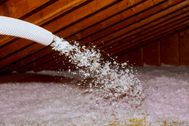 Types of Insulation We Offer in Newbern, TN