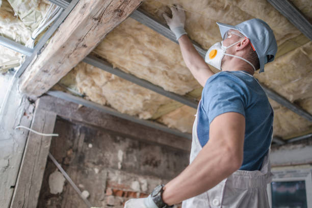 Best Energy Efficiency Insulation in Newbern, TN