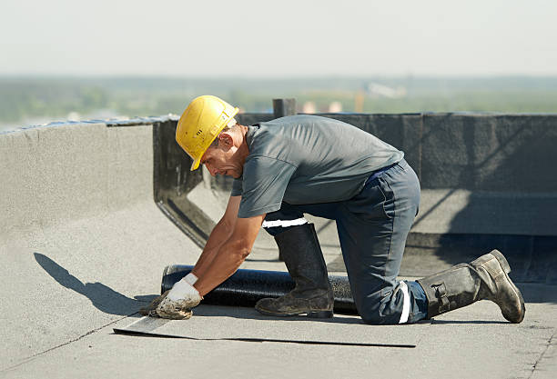Best Insulation Maintenance and Repair in Newbern, TN