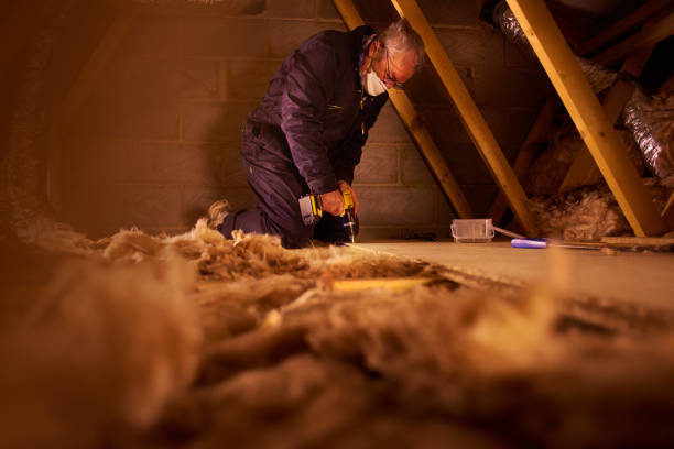 Best Eco-Friendly Insulation in Newbern, TN